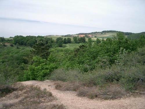 CIMG2119